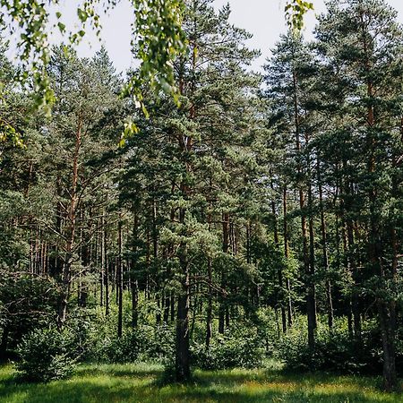 Villa Mysliwska Chata Na Skraju Lasu à Wojtkowa Extérieur photo