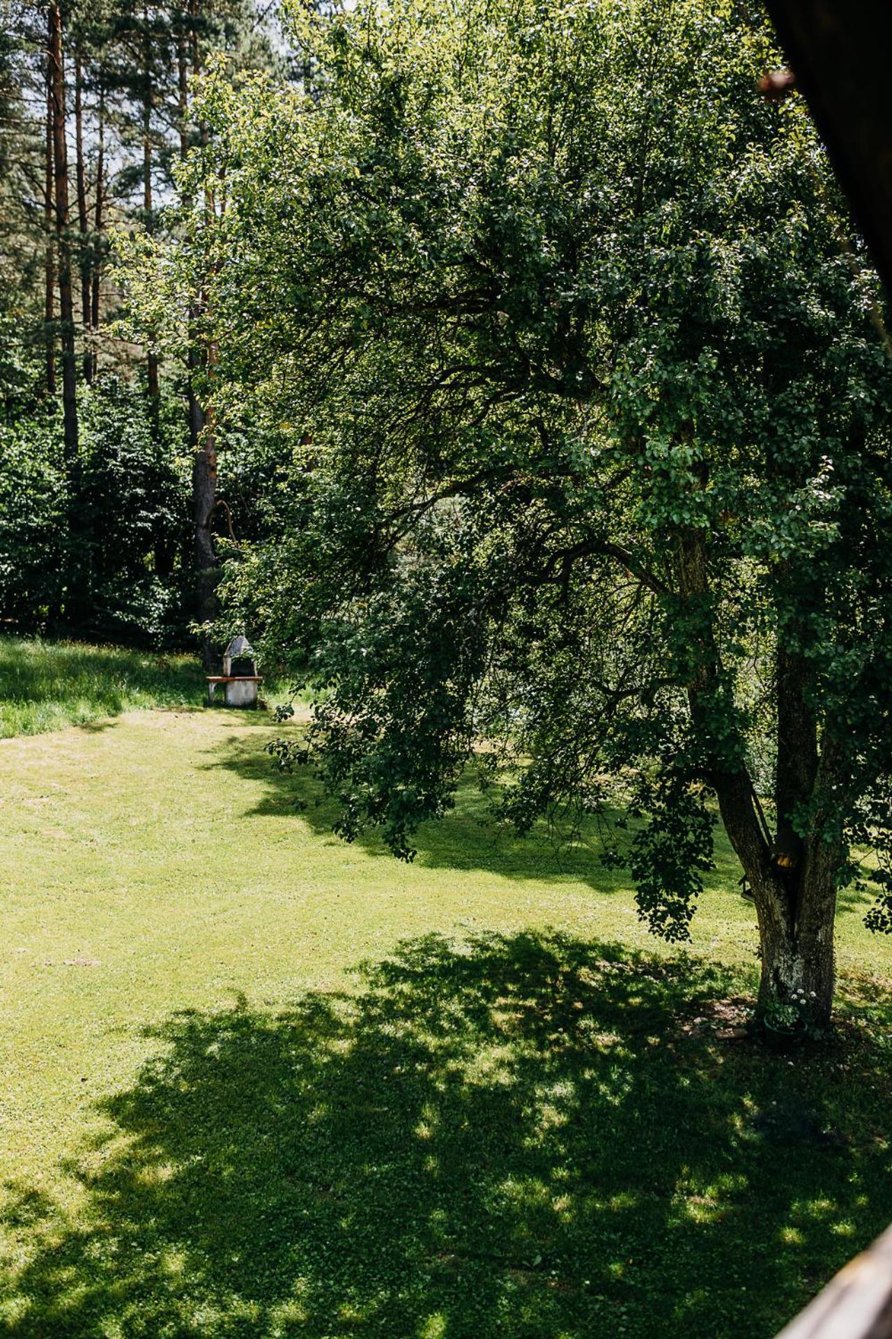 Villa Mysliwska Chata Na Skraju Lasu à Wojtkowa Extérieur photo